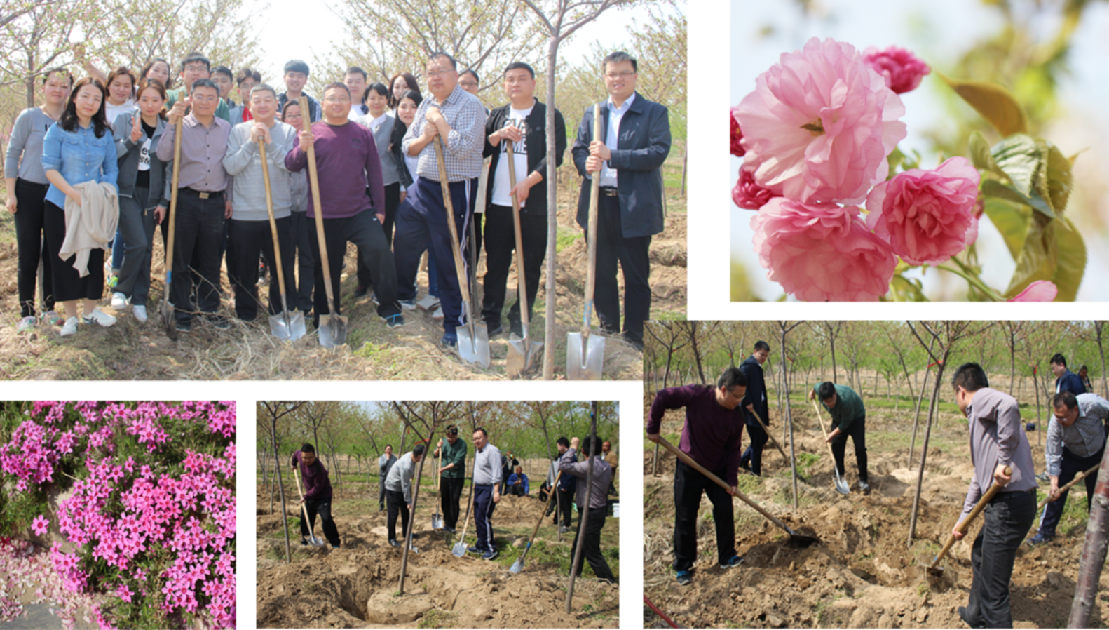 社會責(zé)任-v2.png 社會責(zé)任-v2.png